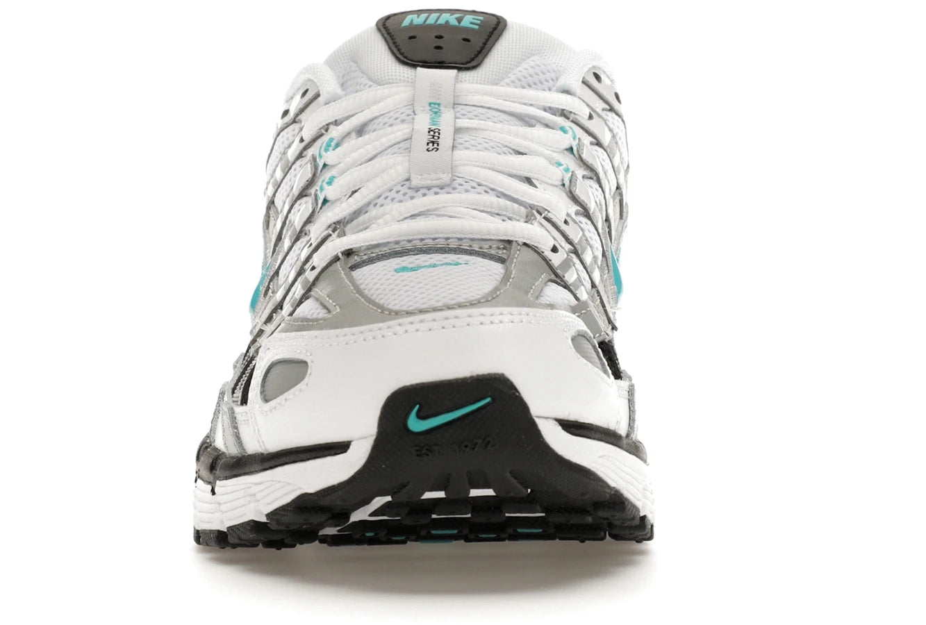 Nike P-6000 Dusty Cactus