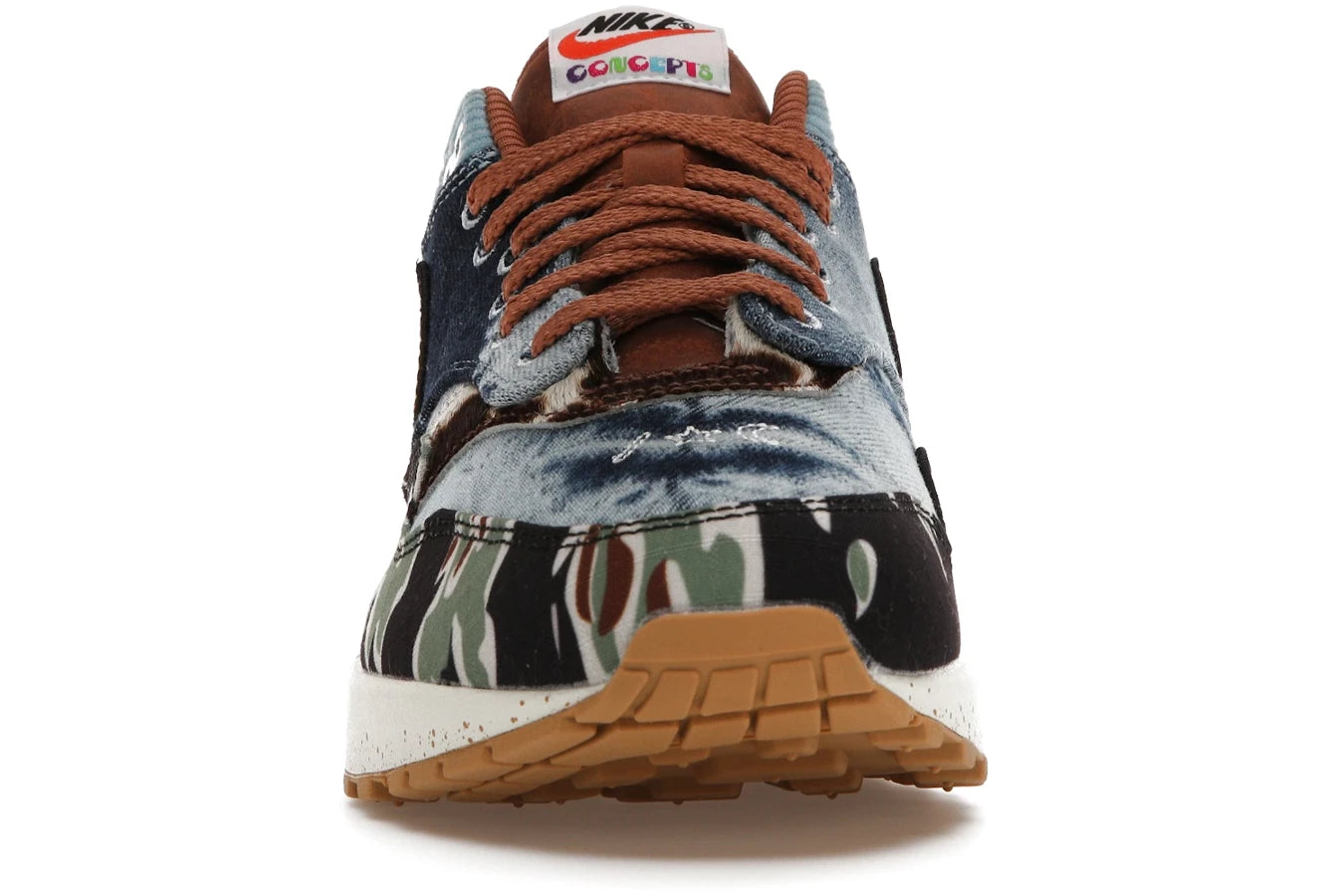 Nike Air Max 1 SP Concepts Heavy
