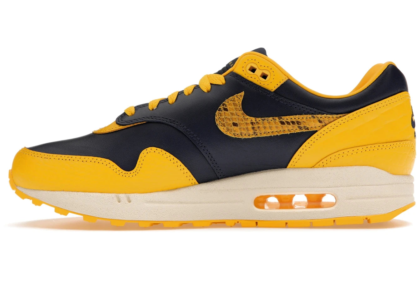 Nike Air Max 1 CO.JP Michigan Kopf an Kopf