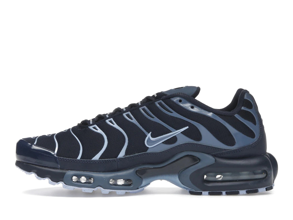 Nike Air Max Plus Obsidian Aluminium
